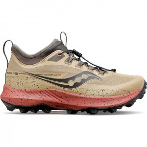 Brown Saucony Peregrine 13 ST Women's Trail Running Shoes | PHILIPPINES-MPY