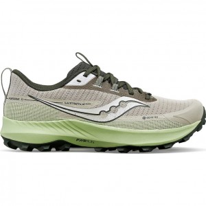 Grey / Mint Saucony Peregrine 13 GTX Men's Running Shoes | PHILIPPINES-OCI