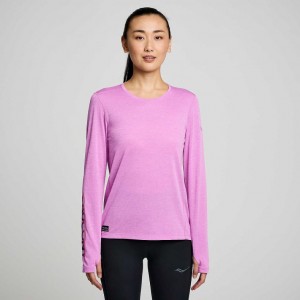 Purple Saucony Stopwatch Graphic Long Sleeve Women's T-Shirt | PHILIPPINES-HDW