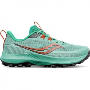 Turquoise Saucony Peregrine 13 Women's Trail Running Shoes | PHILIPPINES-VKC