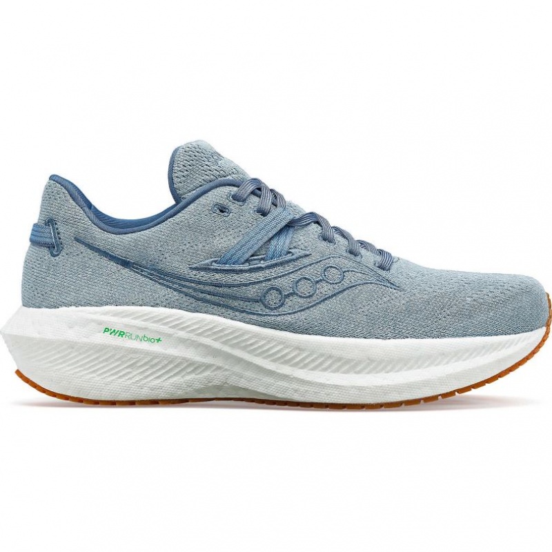 Blue Saucony Triumph RFG Men\'s Running Shoes | PHILIPPINES-TAW