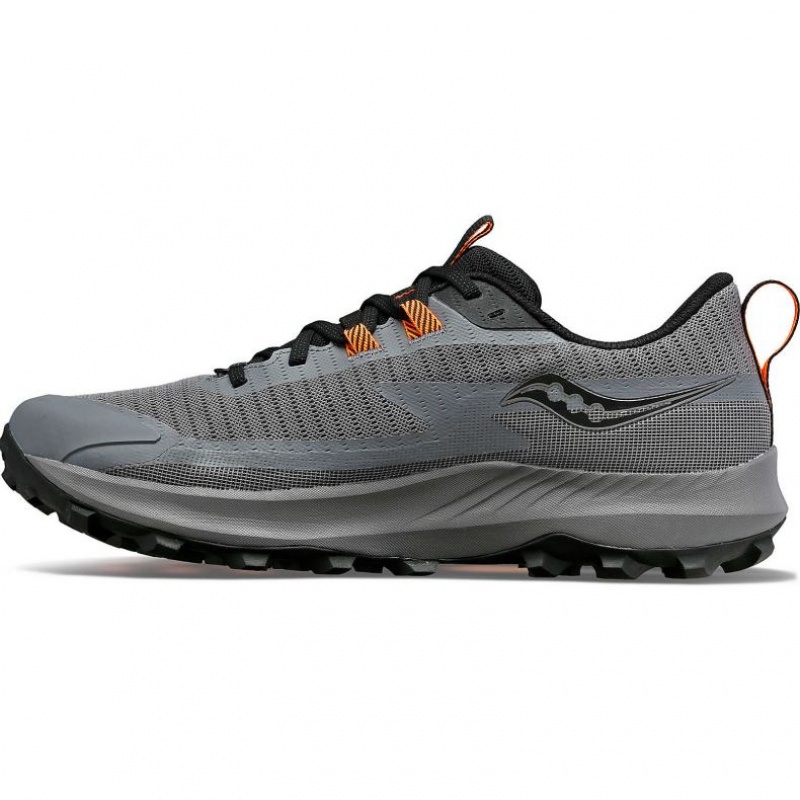 Grey Saucony Peregrine 13 GTX Men's Trail Running Shoes | PHILIPPINES-BFP