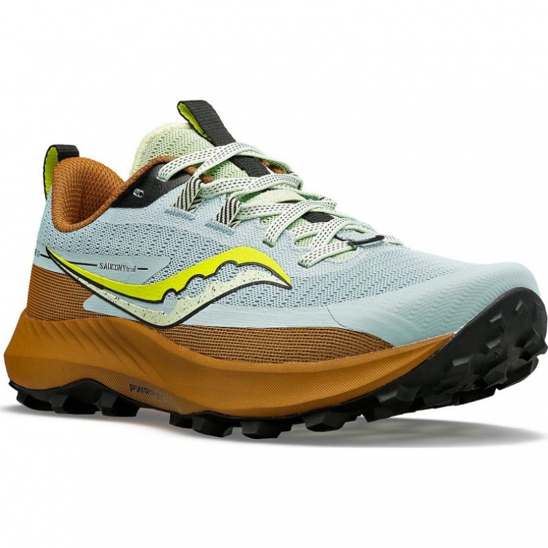 Light Blue / Brown Saucony Peregrine 13 Women's Trail Running Shoes | PHILIPPINES-GWU