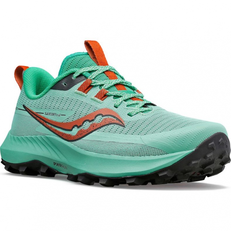 Turquoise Saucony Peregrine 13 Women's Trail Running Shoes | PHILIPPINES-VKC